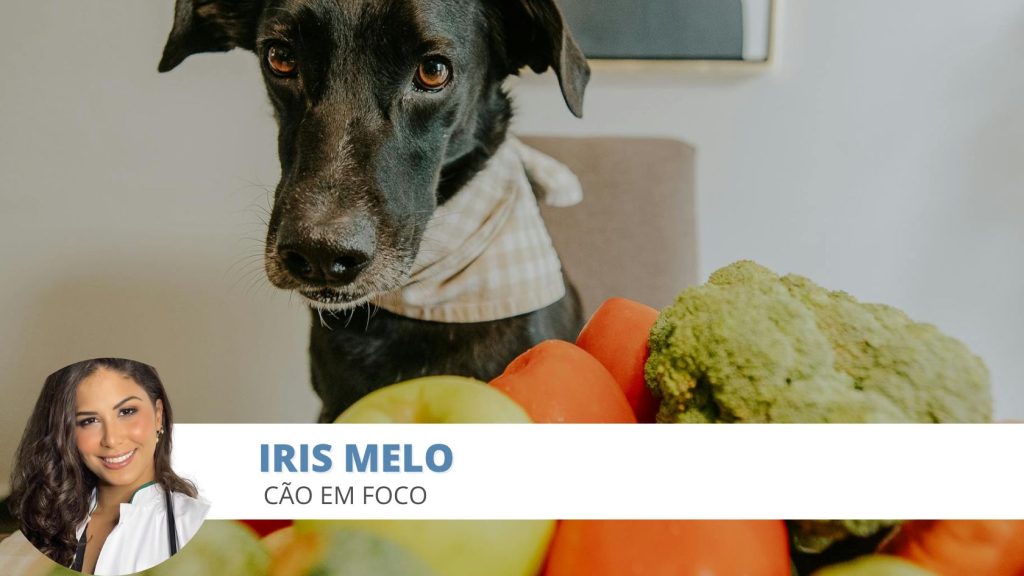 alimentos tóxicos