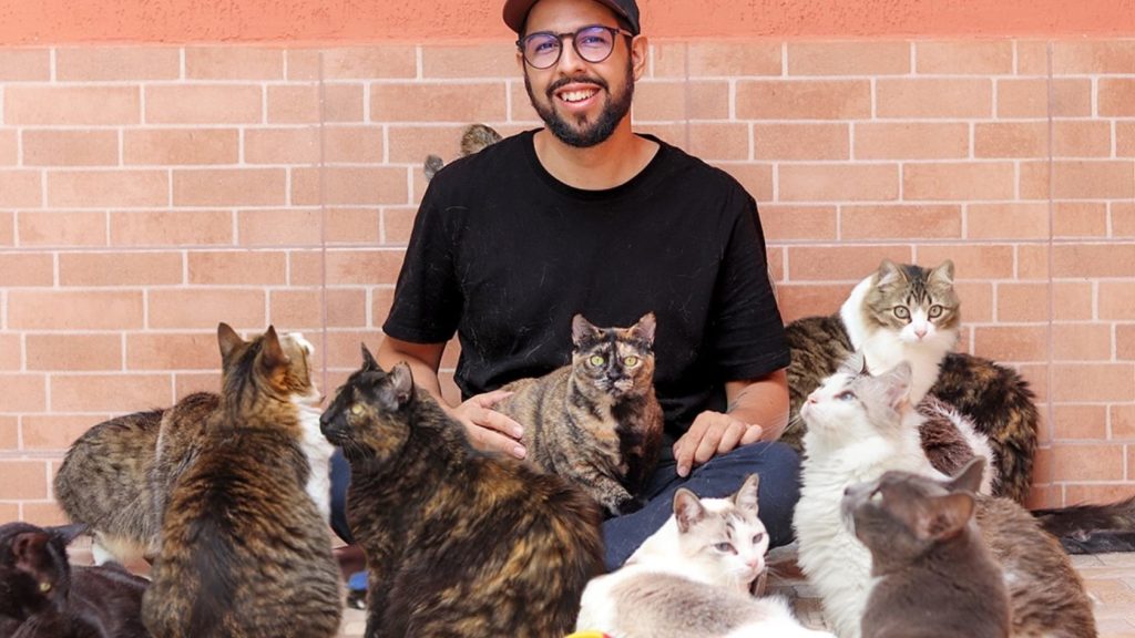 pai gatos