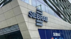 sebrae pequenos negócios