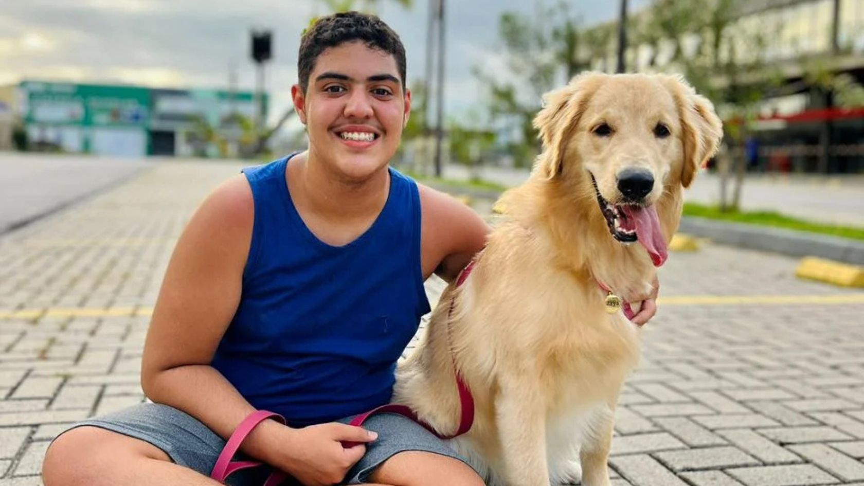 cães suporte emocional