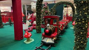 trenzinho solidário