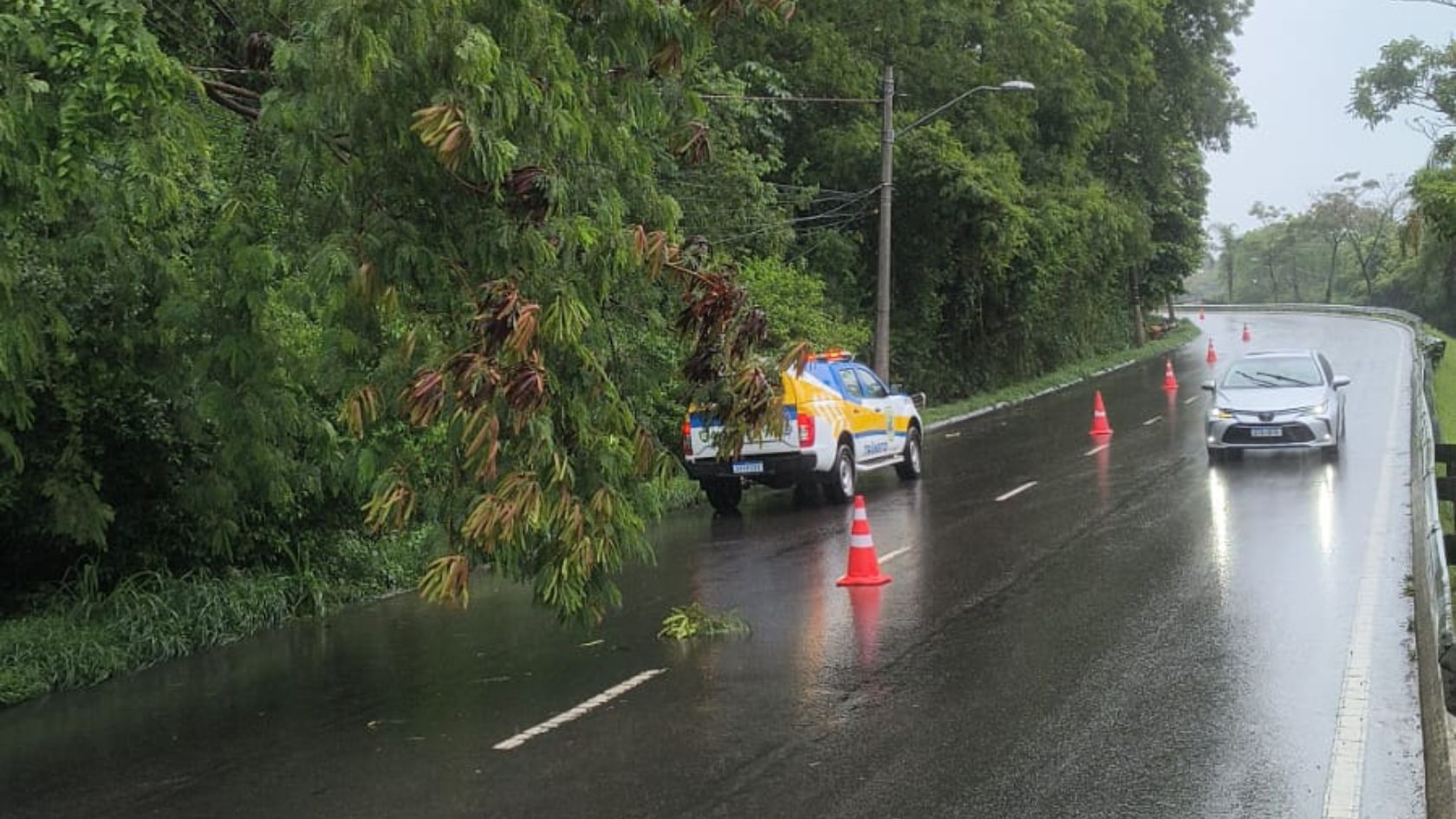 árvore-cai-tobogã-serra-chuva