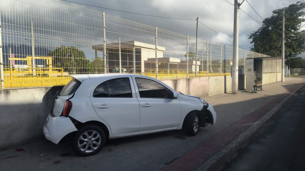 cachorro muro