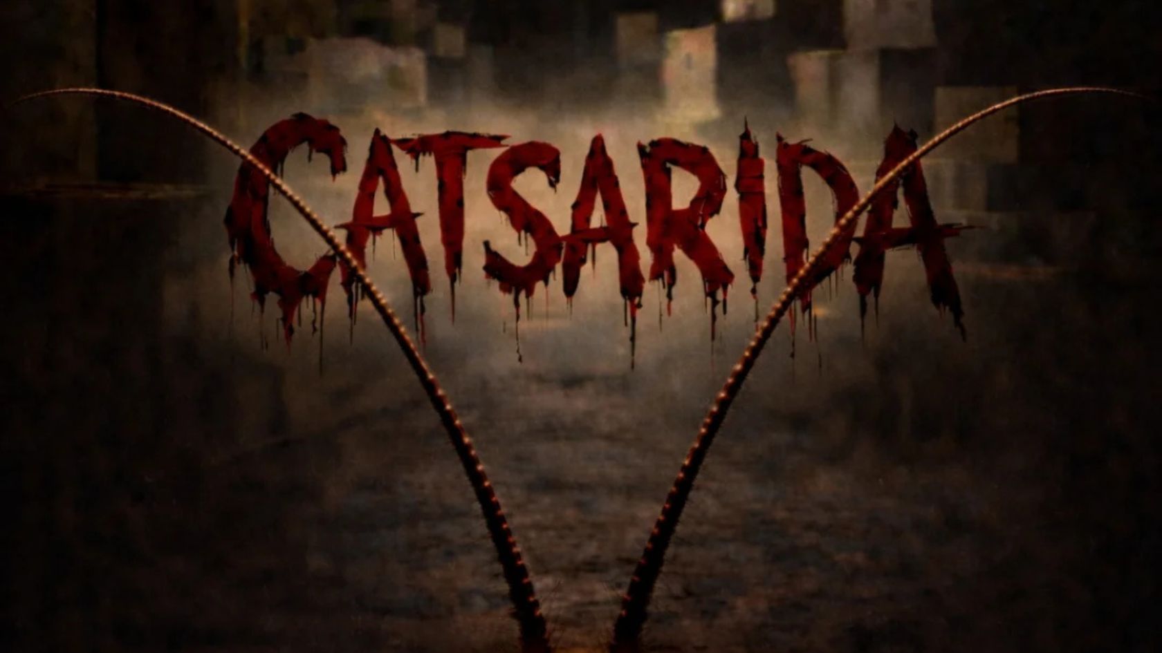 catsarida