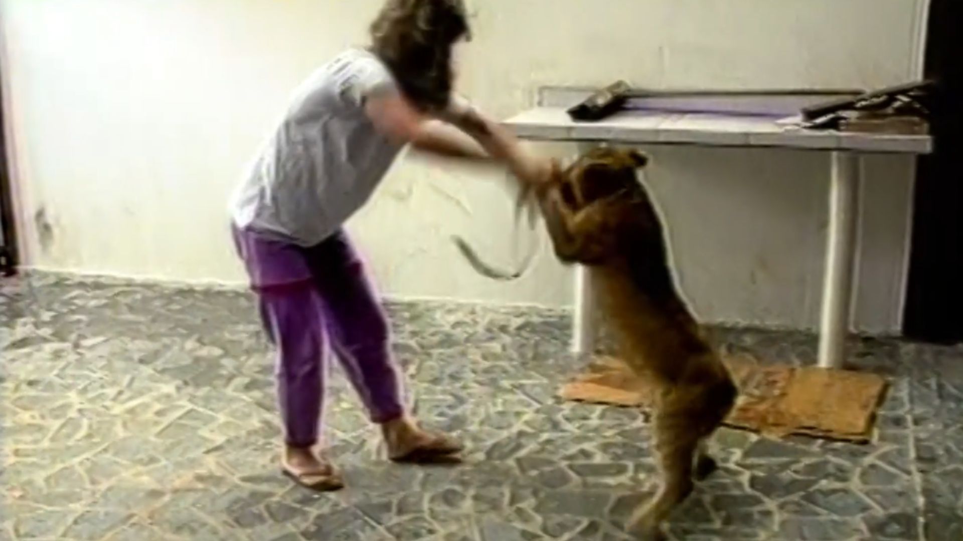 Mulher Leão Casa Serra ES