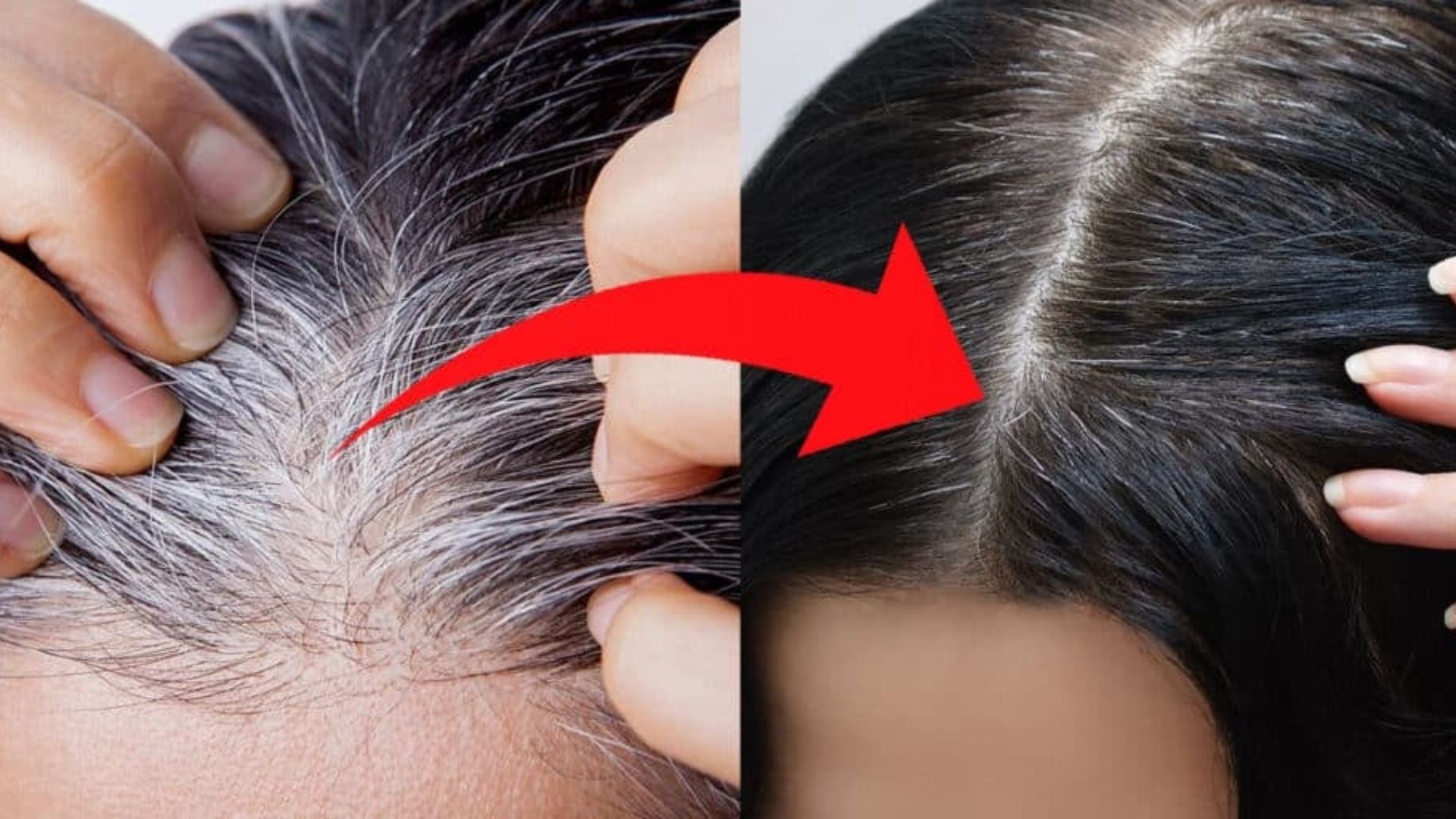 shampoos baratos fios no banho sem tinta