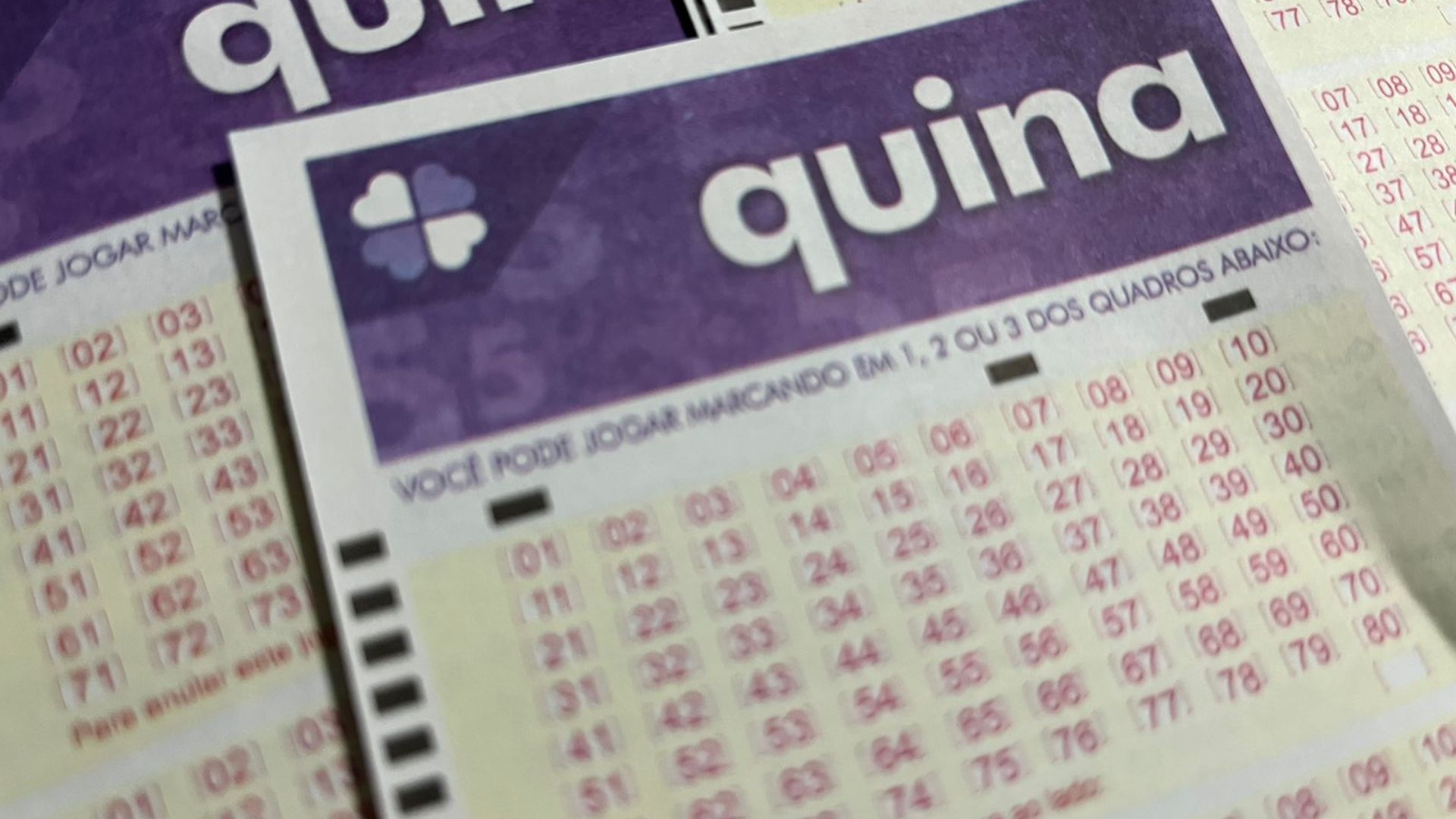 Resultado da Quina concurso 7037