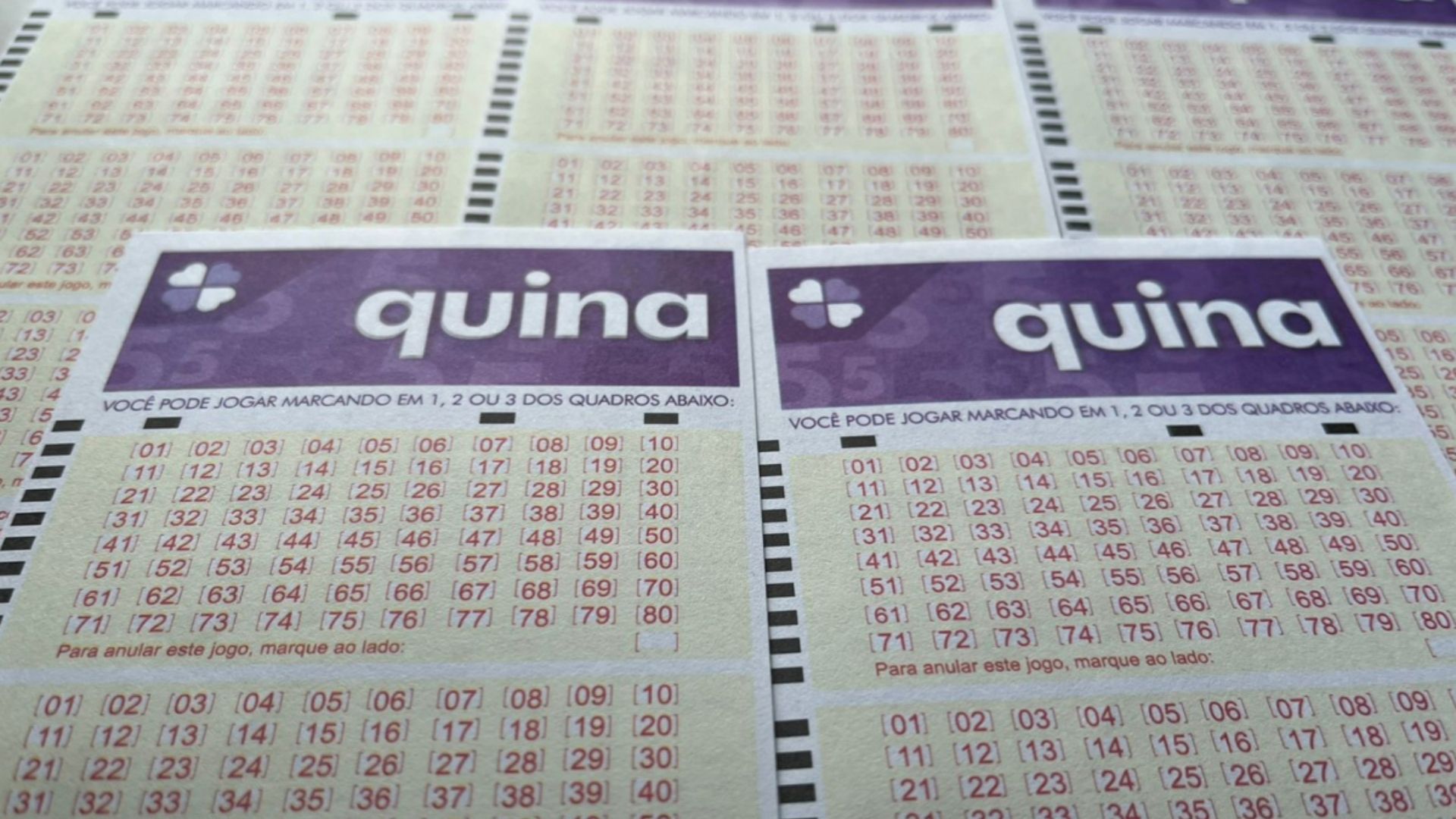 Resultado da Quina concurso 7034
