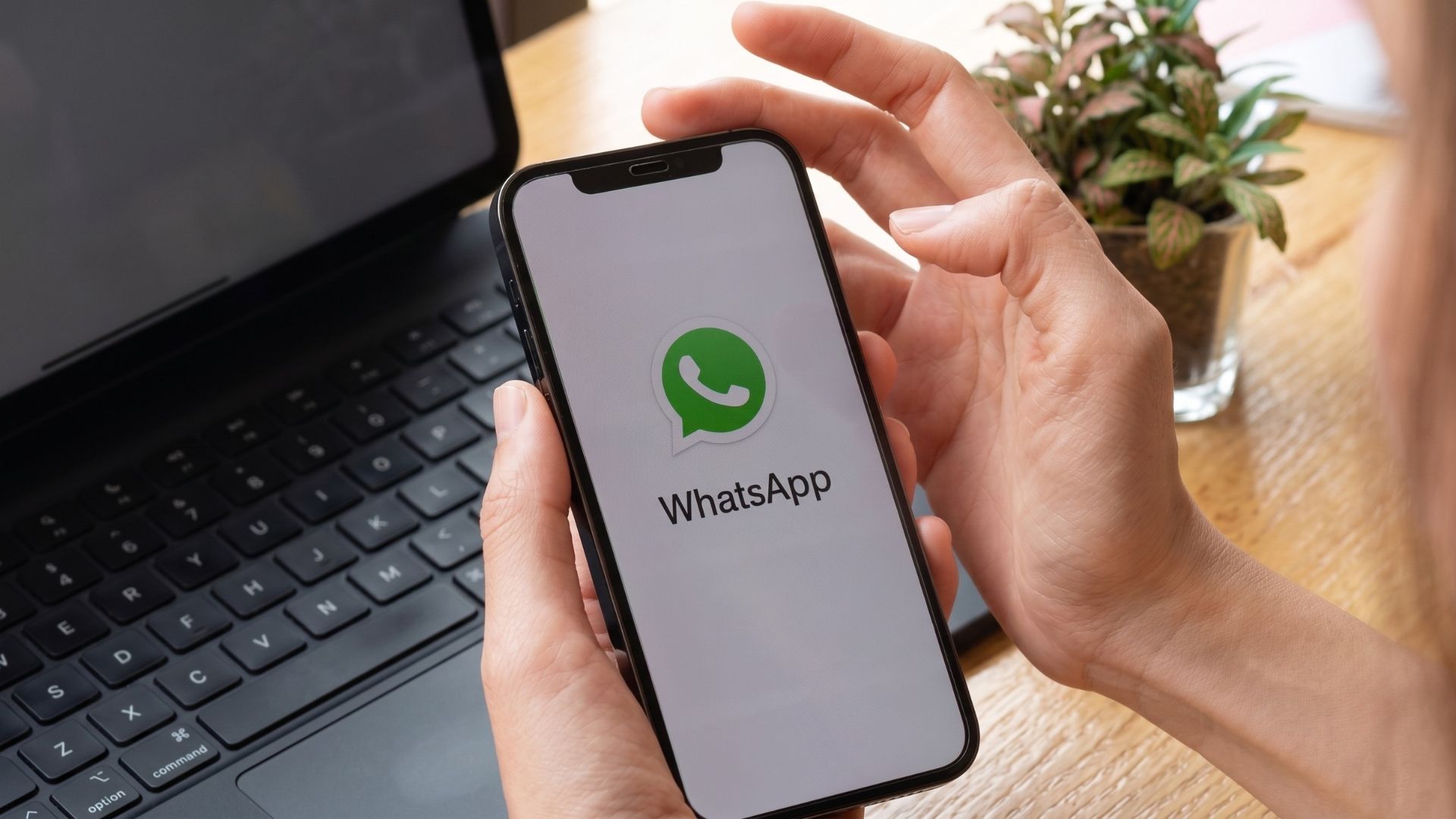 WhatsApp Pago Assinatura