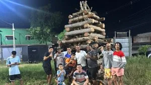 Arraiá Palmeiras
