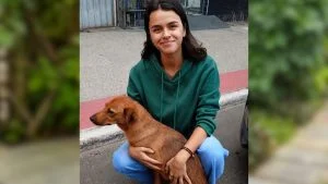 cadela três patas
