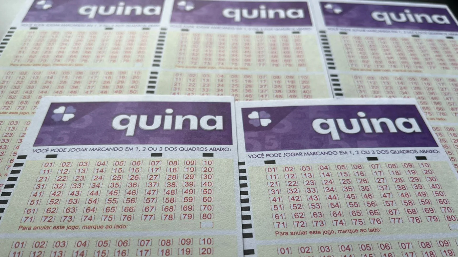 Imagem do resultado da Quina 7072