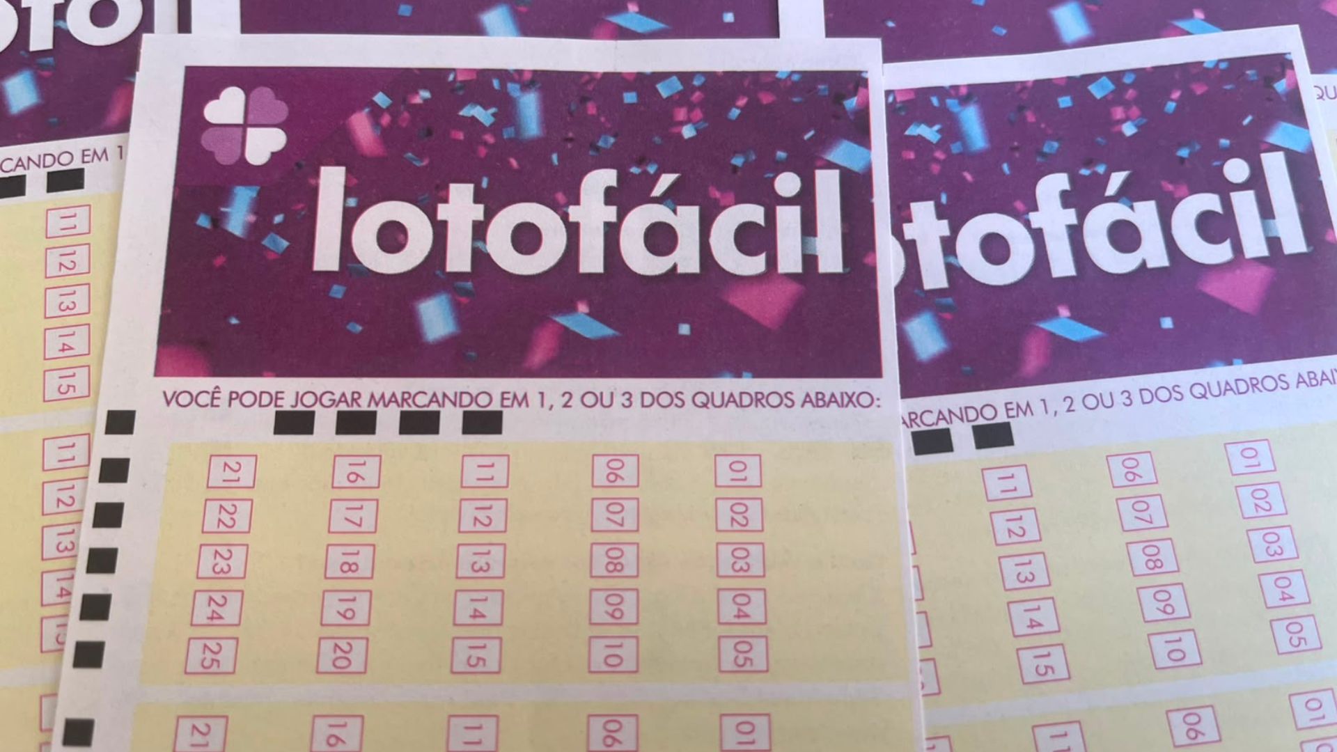Lotofácil 3736 de hoje