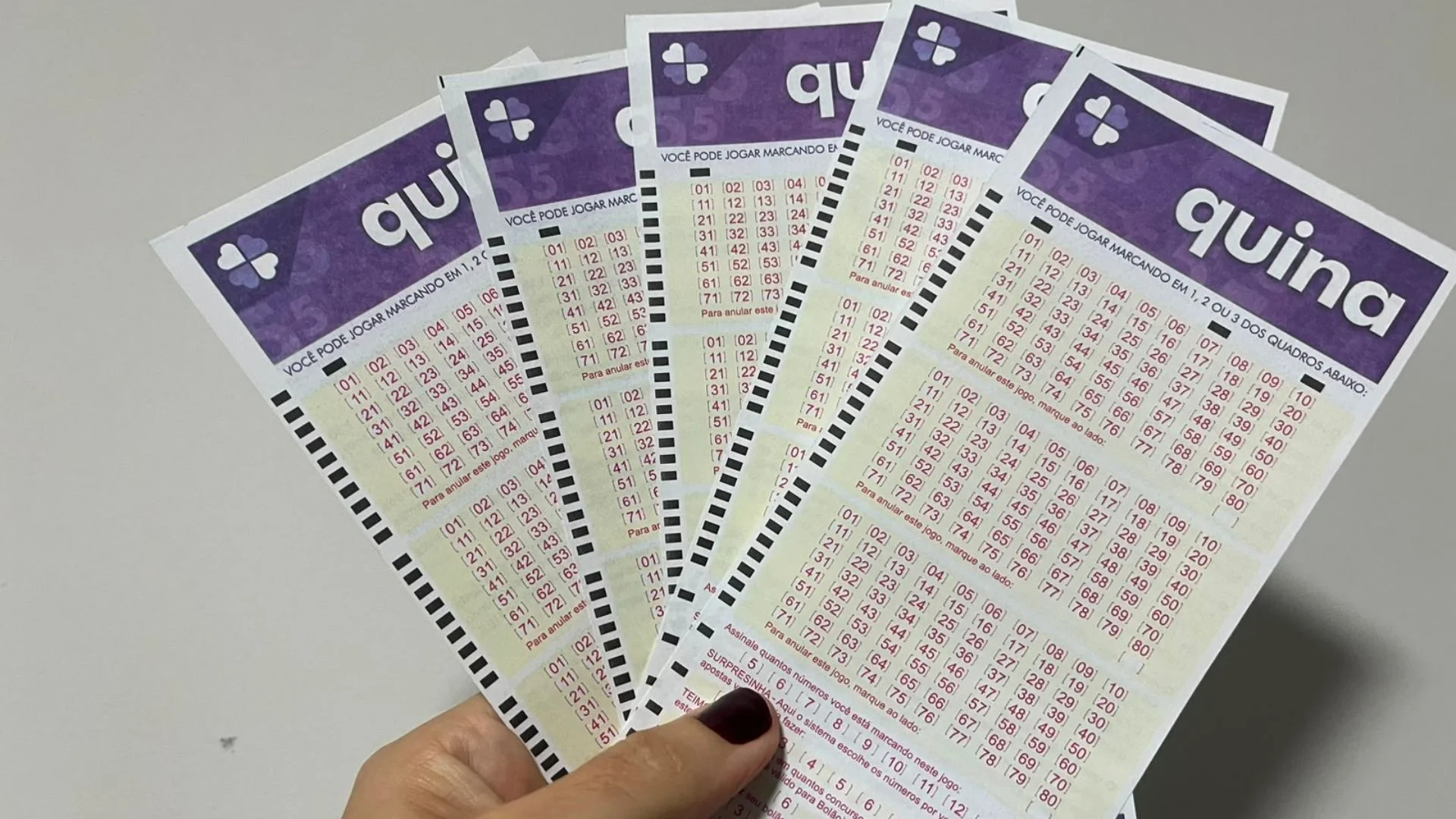 Quina concurso 7061