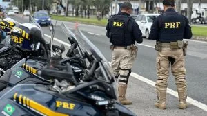 atropelamentos na BR-101