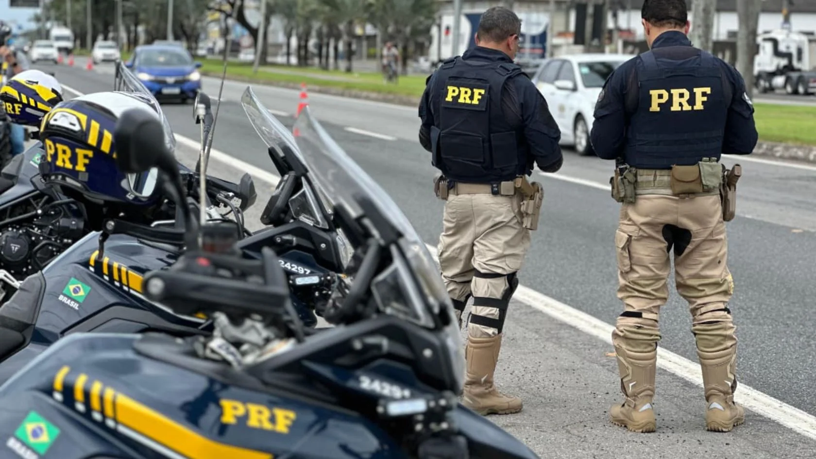 atropelamentos na BR-101