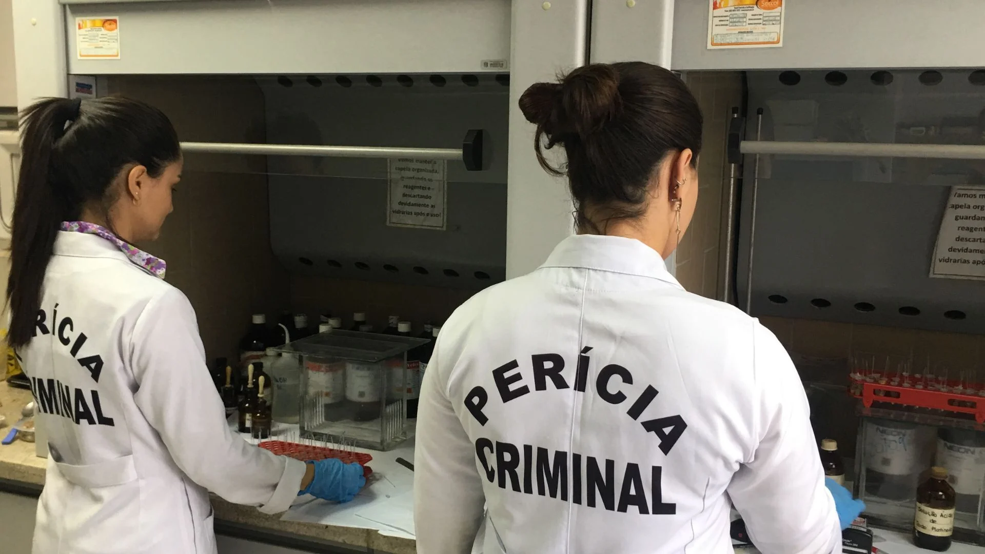 policia cientifica concurso
