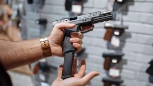 Porte de arma MEIs Empresários