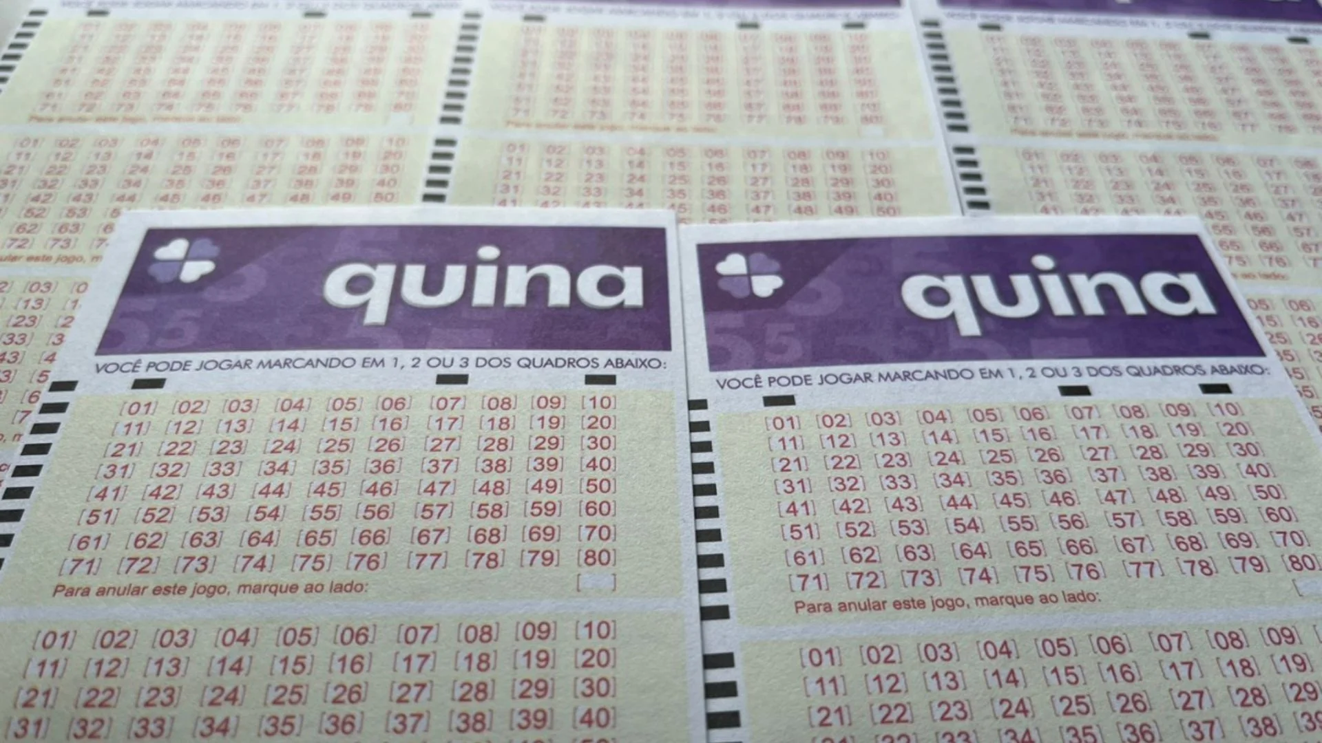 Resultado da Quina 7105