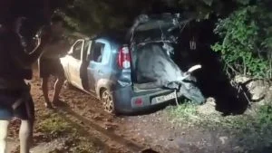 Boi no porta-malas de um Fiat Uno azul aberto, em estrada de terra à noite, com pessoas ao lado