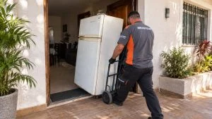 Brastemp Consul Geladeira
