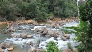 Rio Santa Maria da Vitória corre entre pedras e vegetação, manancial do abastecimento de água na Serra