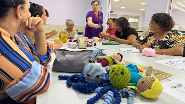 curso de amigurumi na Serra