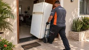 Geladeira Brastemp e Consul Eletrodoméstico