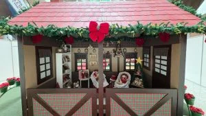 Papai Noel na Serra