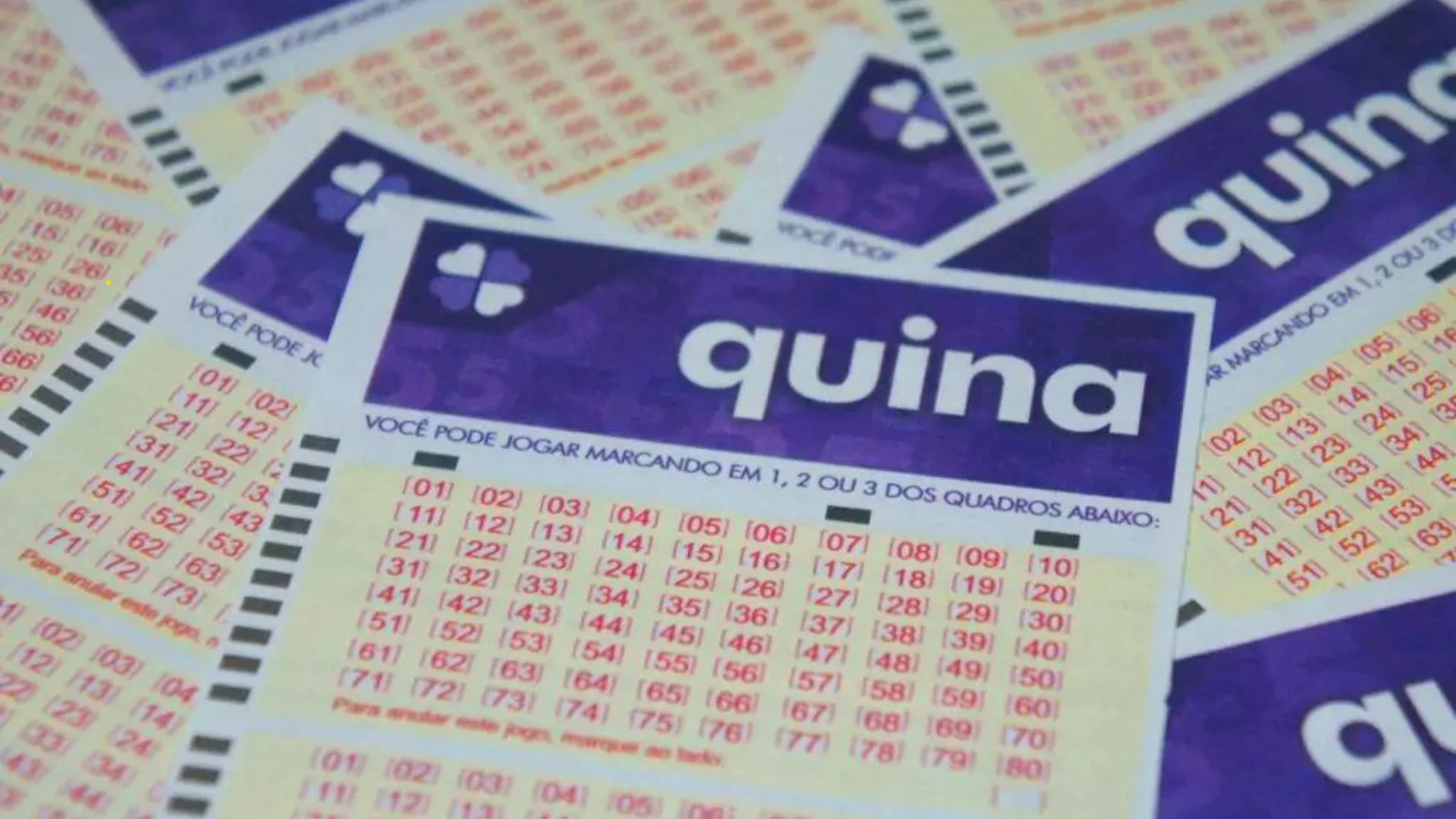 Quina concurso 7132