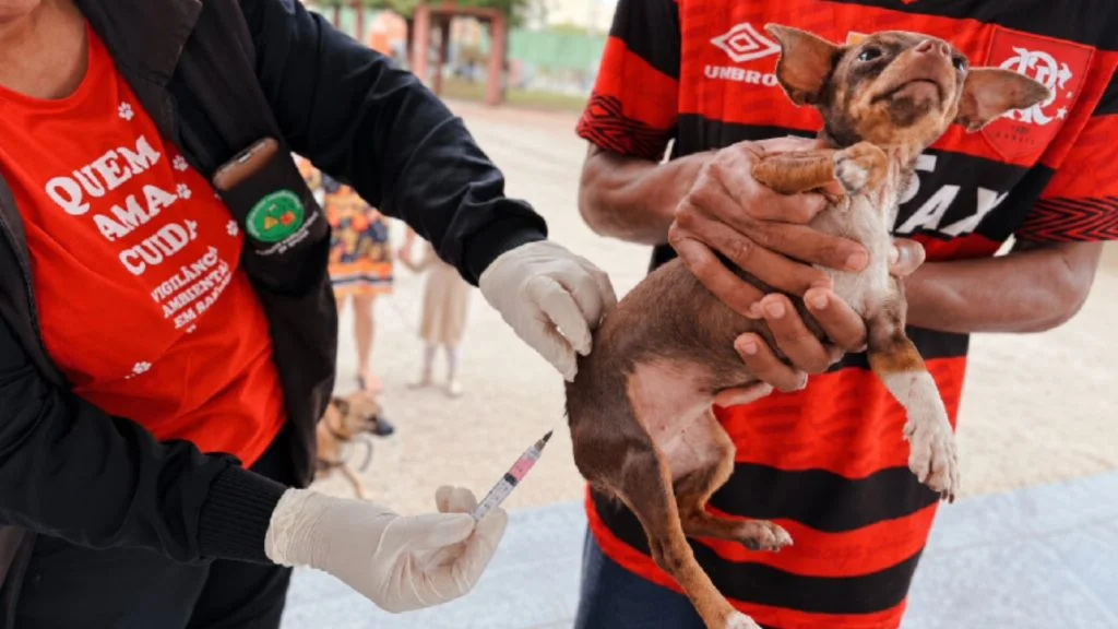 vacinação gratuita de cães e gatos na Serra